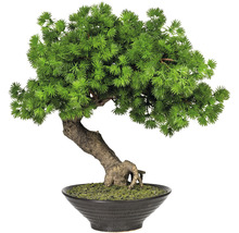 Bonsaï artificiel en pot comme décoration