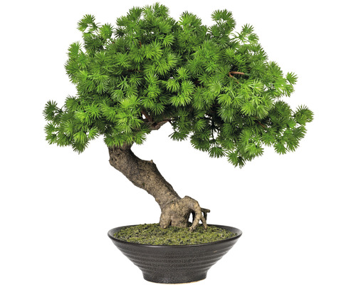 Plante artificielle mélèze bonsaï Han-Kengai hauteur : 37 cm vert