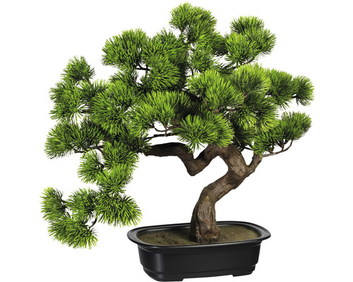 Kunstpflanze Bonsai Kiefer  40 Hhe: 40 cm grn - HORNBACH Luxemburg