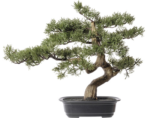 Plante artificielle cèdre bonsaï hauteur : 40 cm vert