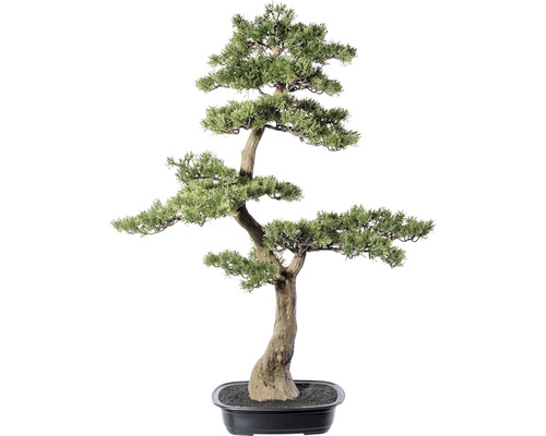 Plante artificielle cèdre bonsaï hauteur : 100 cm vert