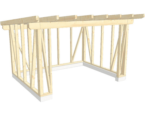 Structure en bois construction à ossature porteuse toit en appentis 350x450 cm