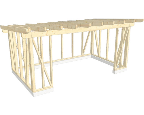 Structure en bois construction à ossature porteuse toit en appentis 350x600 cm