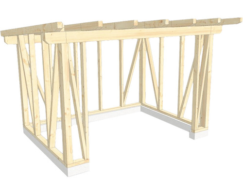 Structure en bois construction à ossature porteuse toit en appentis 300x400 cm