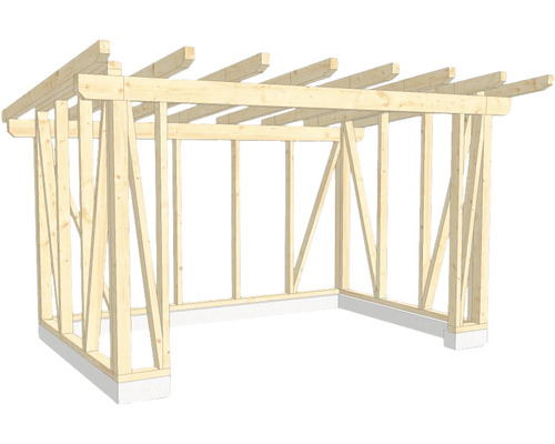 Structure en bois construction à ossature porteuse toit en appentis 300x450 cm