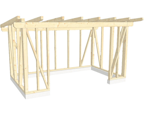Structure en bois construction à ossature porteuse toit en appentis 300x500 cm