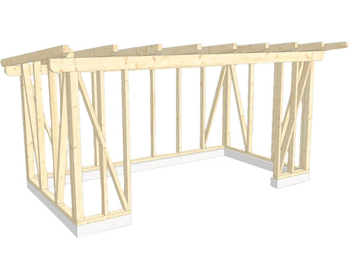 Structure en bois construction à ossature porteuse toit en appentis 300x550 cm