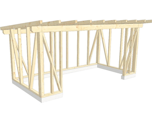 Structure en bois construction à ossature porteuse toit en appentis 300x600 cm