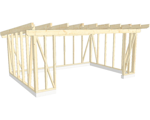 Structure en bois construction à ossature porteuse toit en appentis 450x650 cm