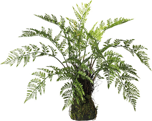 Plante artificielle fougère sur ballot de mousse 50 cm hauteur : 60 cm vert