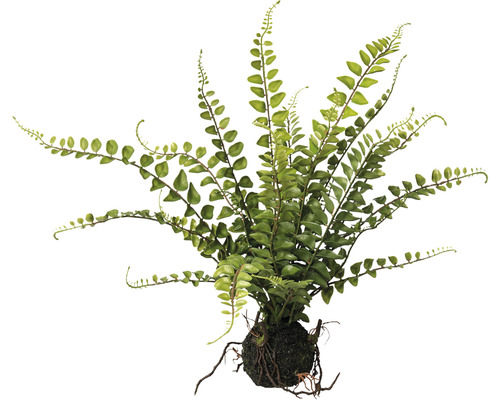 Plante artificielle fougère en ballot hauteur : 43 cm vert