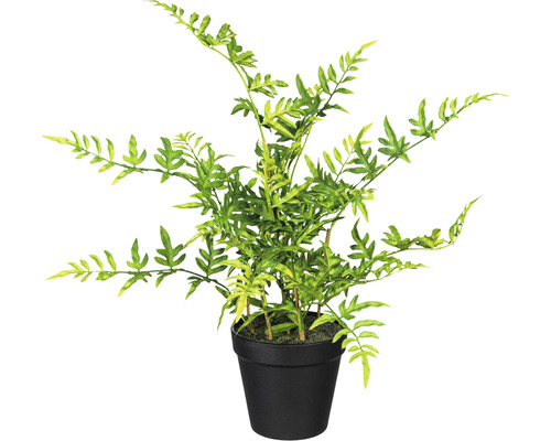 Kunstpflanze Japanischer Farn Höhe: 40 cm grün