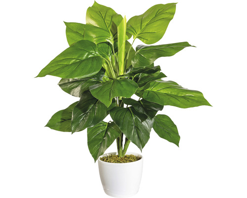 Plante artificielle Philodendrohn hauteur : 50 cm vert