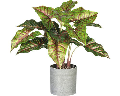 Kunstpflanze Taropflanze Höhe: 40 cm grün