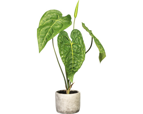 Plante artificielle Anthurium andreanum hauteur : 60 cm vert