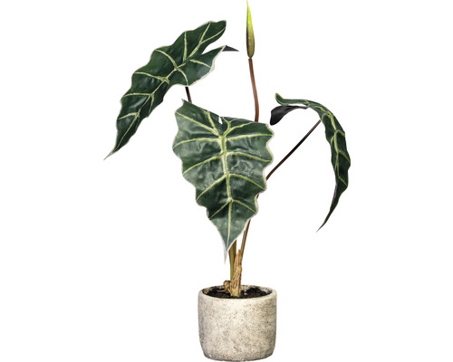 Plante artificielle Alocasia hauteur : 60 cm vert
