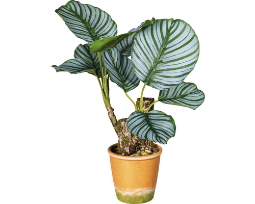 Kunstpflanze Calatheapflanze Höhe: 45 cm grün