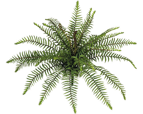 Plante artificielle touffe de fougère sauvage hauteur : 45 cm vert