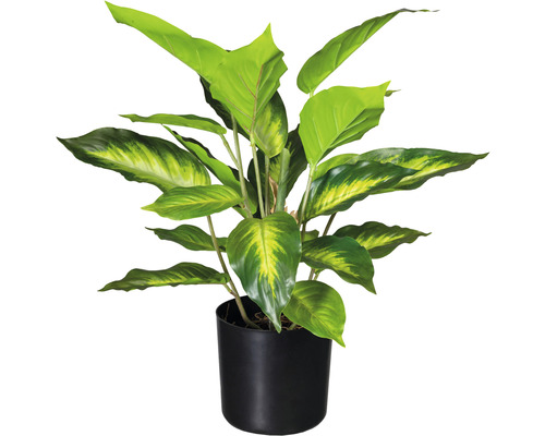 Plante artificielle Dieffenbachia hauteur : 45 cm vert