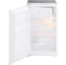 Geöffneter, weisser Kühlschrank