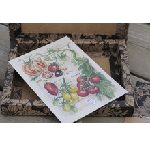 Illustration de différentes variétés de tomates dans une boîte de semences