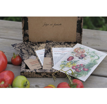 Coffret cadeau avec différentes graines de tomates dans une boîte décorative
