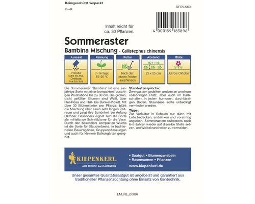 Aster d''été Bambina mélange paquet de graines