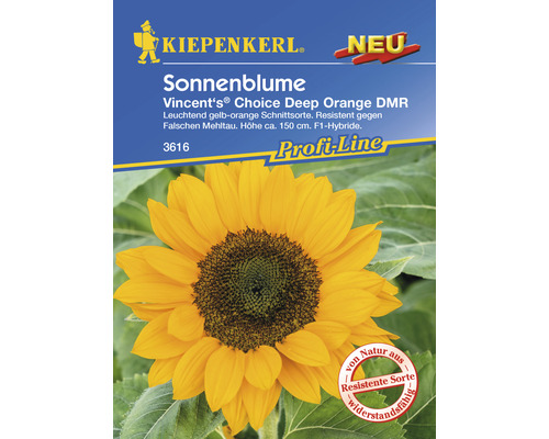 Tournesol Kiepenkerl graines de fleurs