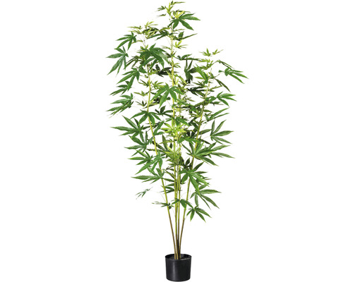 Plante artificielle chanvre d'ornement hauteur : 150 cm vert