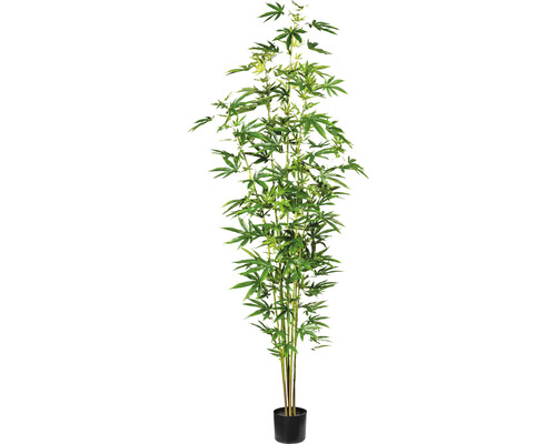 Plante artificielle chanvre d'ornement hauteur : 210 cm vert