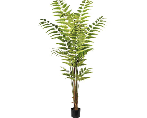 Plante artificielle fougère cuir hauteur : 180 cm vert