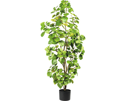 Plante artificielle Eucalyptus hauteur : 105 cm vert