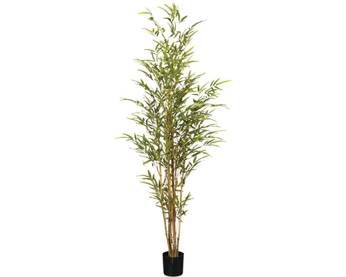 Kunstpflanze Bambus Höhe: 150 cm grün