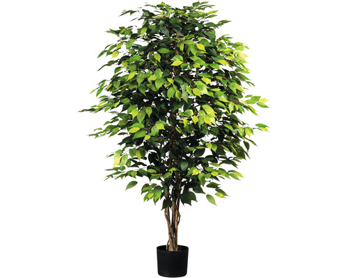 Kunstpflanze Ficus Benjamin Höhe: 150 cm grün buschig