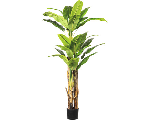 Plante artificielle bananier hauteur : 180 cm vert
