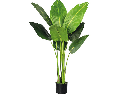 Plante artificielle Strelitzia Nicolai hauteur : 120 cm vert