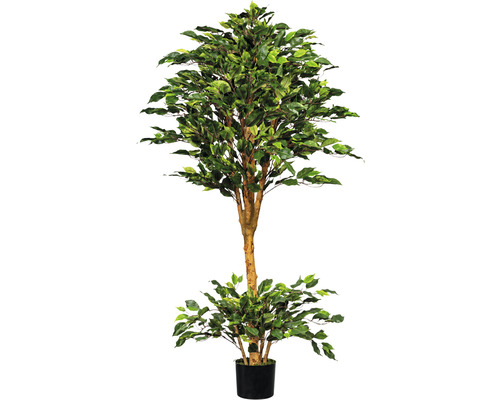 Plante artificielle Ficus Benjamin étroite hauteur: 150 cm vert
