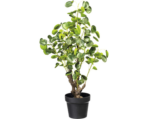 Plante artificielle Pilea peperomioides hauteur : 77 cm vert