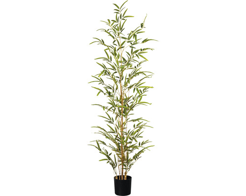 Kunstpflanze Bambus Luxemburg grün Miniblatt - HORNBACH cm 120 Höhe