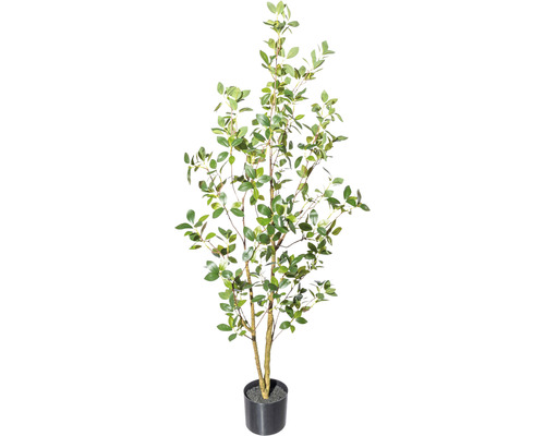 Plante artificielle Ficus Ginseng hauteur : 130 cm vert