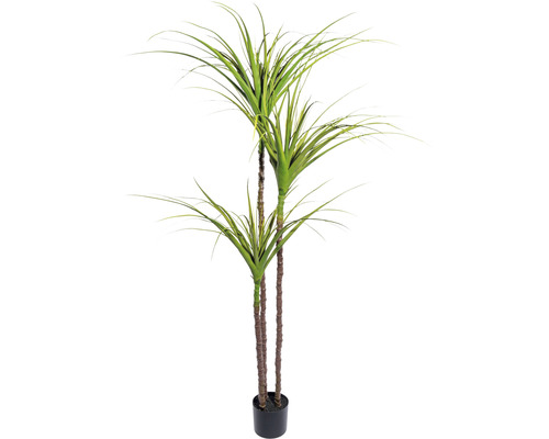 Plante artificielle dragonnier hauteur : 180 cm vert