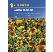 Kiepenkerl Boden-Therapie Paquet de semences pour la santé du sol et la lutte contre les nématodes.