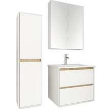 Armoire de toilette Differnz Providence 60 x 16 x 70 cm blanc 2 portes