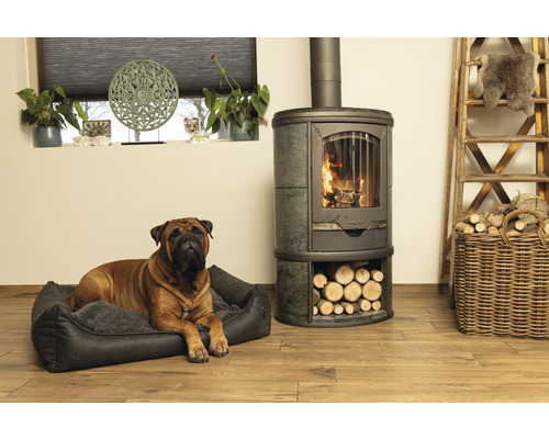 Salon avec poêle à bois, échelle en bois, panier de bois et lit pour chien