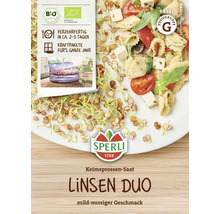 Sperli Linsen Duo graines germées présentées sur l''emballage et dans l''assiette