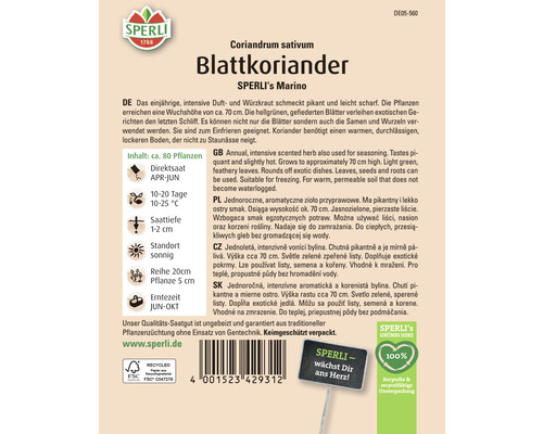 Paquet de graines de coriandre à feuilles de la marque Sperli