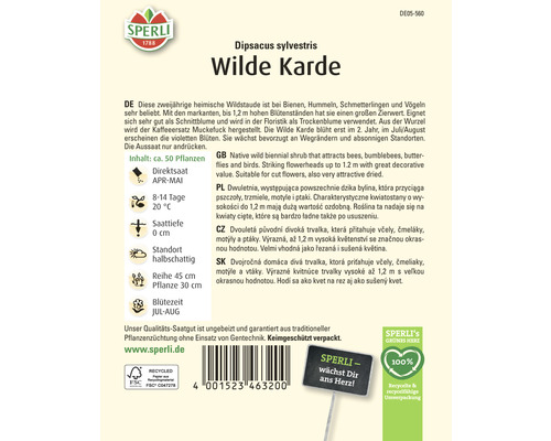 Paquet de graines Cardère sauvage