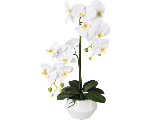 Plante artificielle Phalaenopsis hauteur : 52 cm blanc