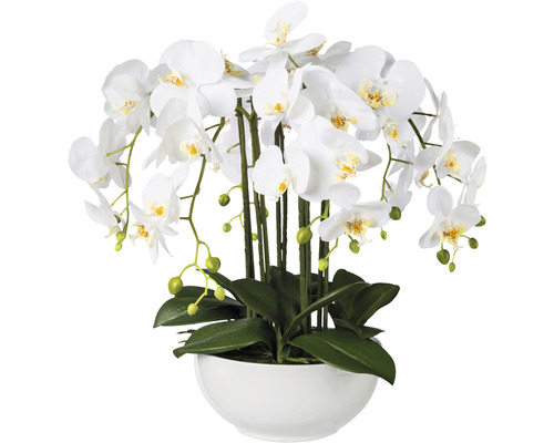 Plante artificielle Phalaenopsis hauteur : 54 cm blanc