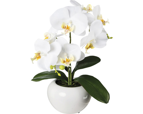 Kunstpflanze Phalaenopsis schmal Höhe: 35 cm weiß